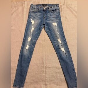 Flying Monkey Distressed Skinny Jeans in Blue Wash